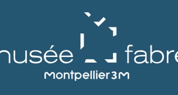 Musée Fabre de Montpellier Métropole