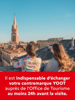 Visite guidée : Vue royale depuis l'arc